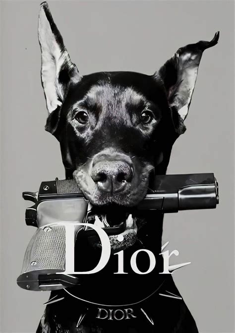 dior dog poster